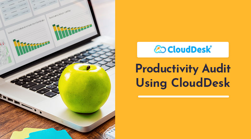 How to Use CloudDesk to Conduct a “Productivity Audit” of Your Employees?