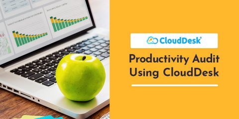 How to Use CloudDesk to Conduct a “Productivity Audit” of Your Employees?