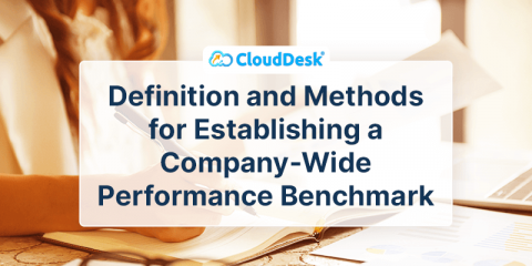 Definition and Methods for Establishing a Company-Wide Performance Benchmark