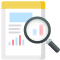 Detailed-Inspections-icon